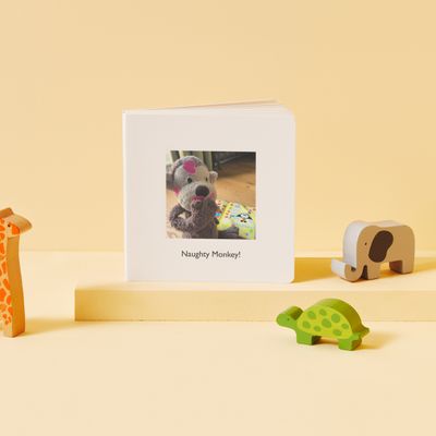 My First Baby Photo Board Book